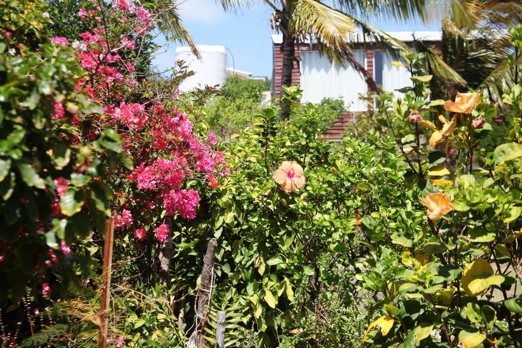 Residence Foulsafat Rodrigues Island Dış mekan fotoğraf